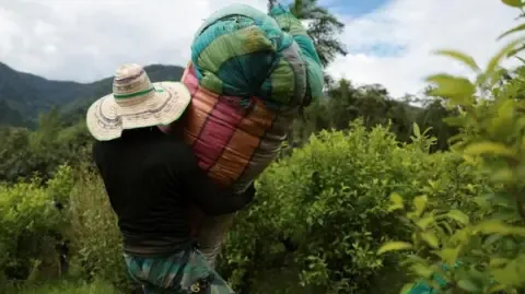 United States Designates the South American Nation as Non-Cooperative in Narcotics Battle